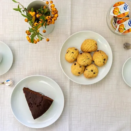 酒店 New Ca'mea 维拉西米乌斯