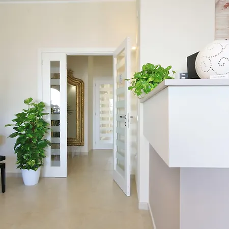 New Ca'mea 维拉西米乌斯