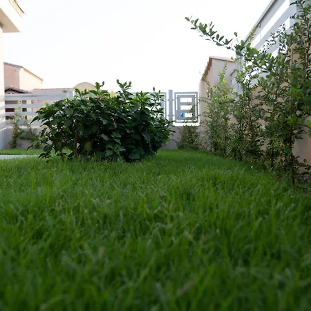 New Ca'mea 维拉西米乌斯