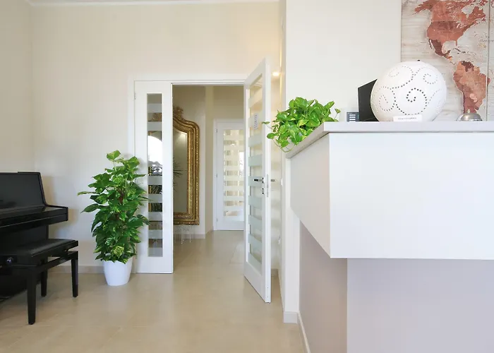 New Ca'mea 维拉西米乌斯