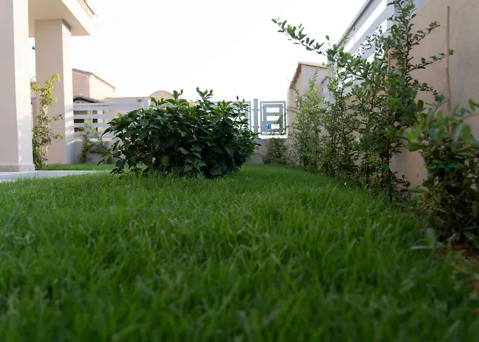 New Ca'mea 维拉西米乌斯